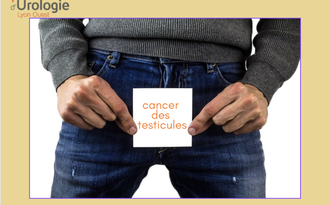 Le cancer des testicules : tumeur rare et méconnue